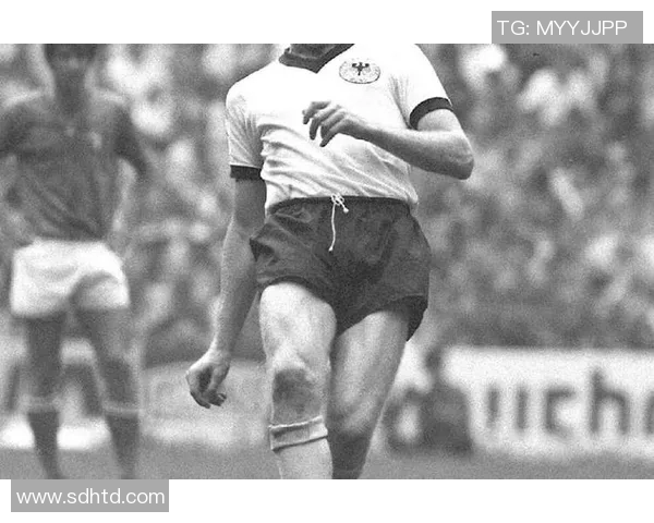 纳吉：从街头少年到足坛巨星的传奇蜕变与辉煌时刻