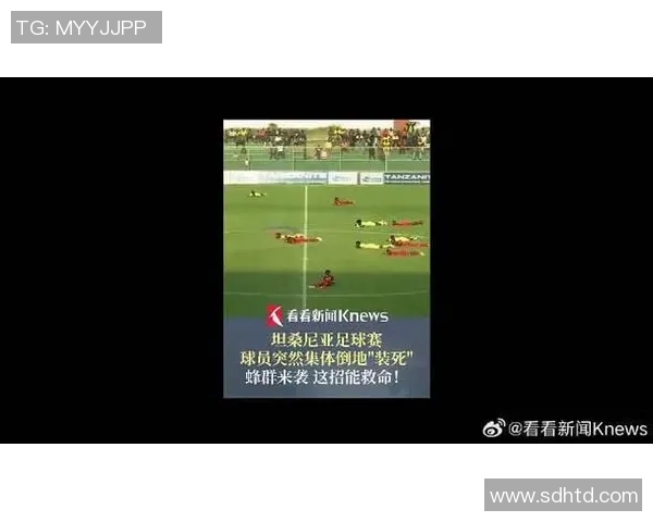 足球场上的装死艺术:那些让人捧腹的假摔球星背后故事 足球场上的装死艺术:那些让人捧腹的假摔球星背后故事
