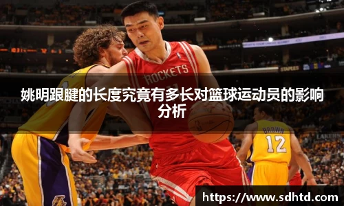 姚明跟腱的长度究竟有多长对篮球运动员的影响分析